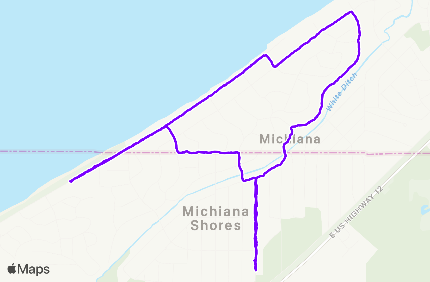 Walk training
