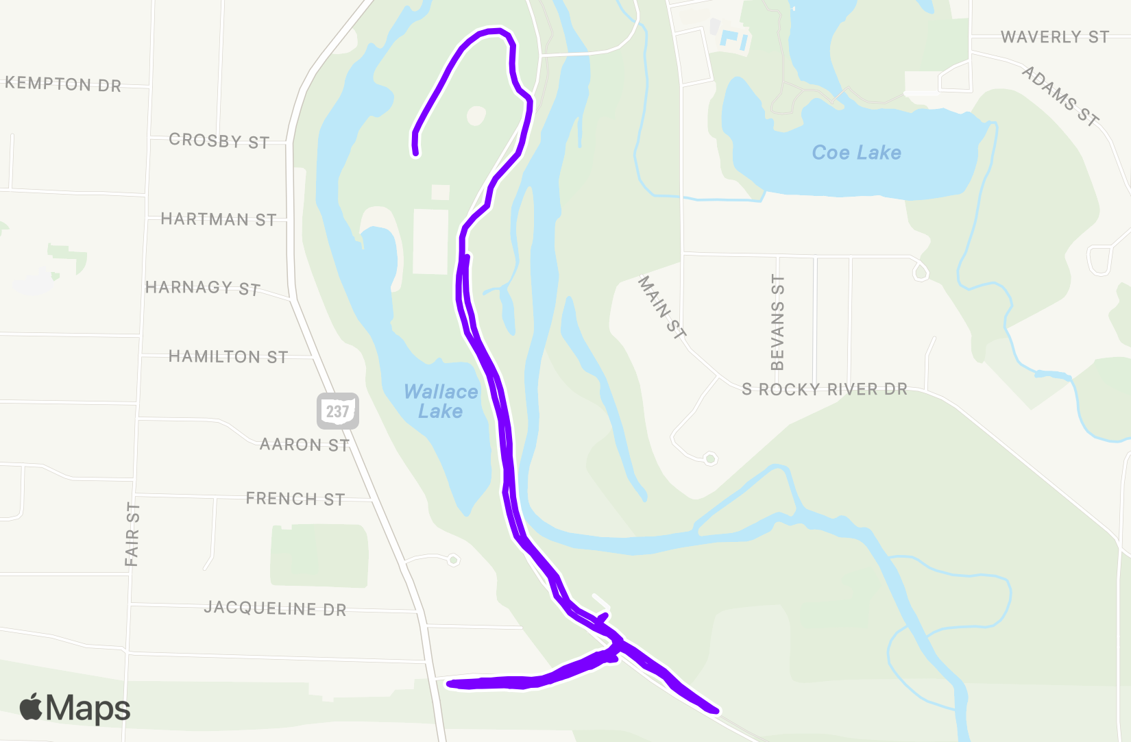 Run training
