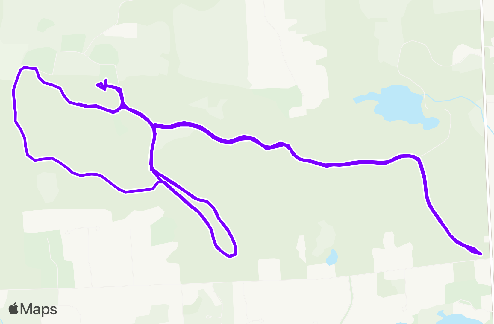 Run training