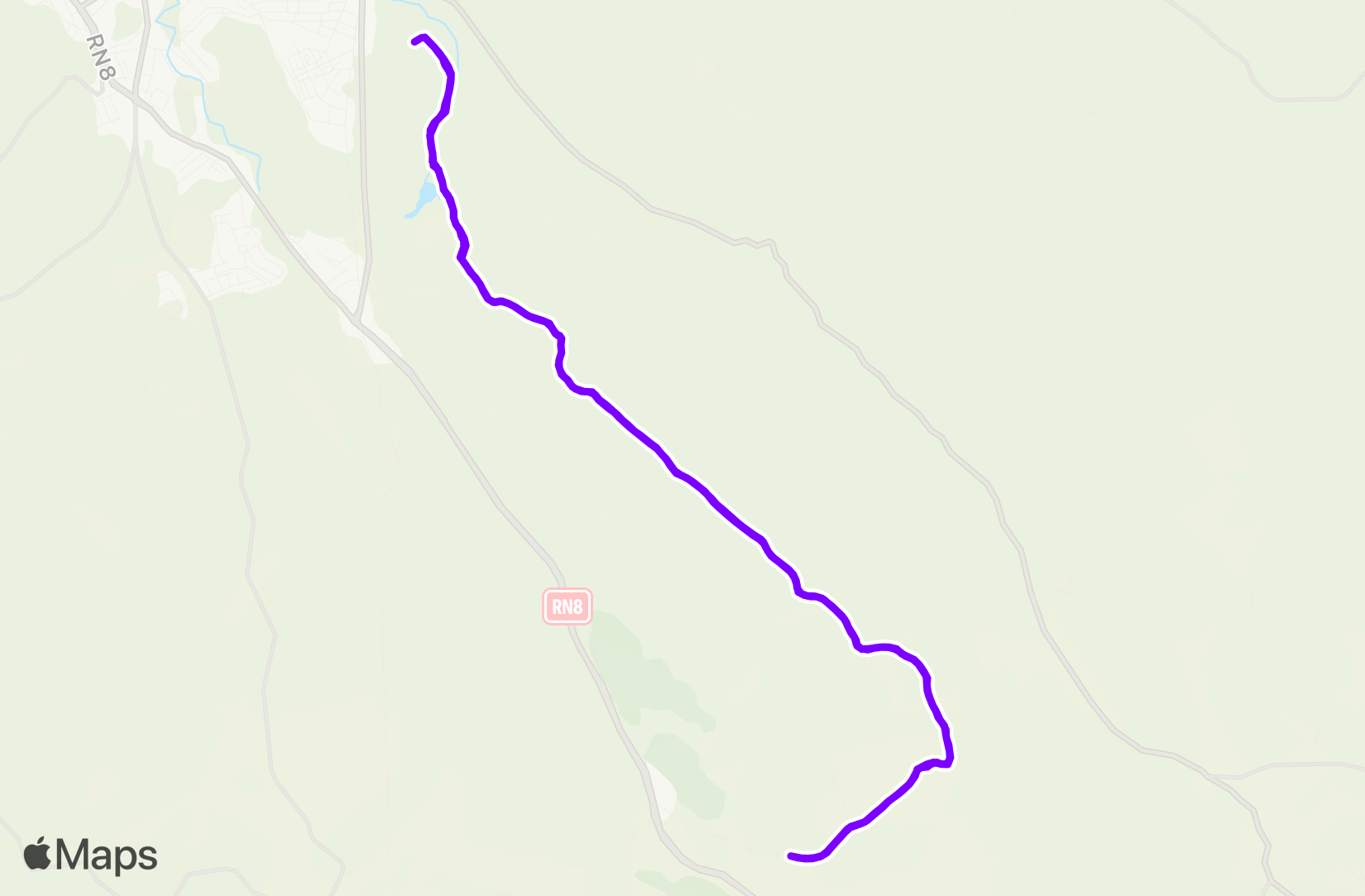 Run training