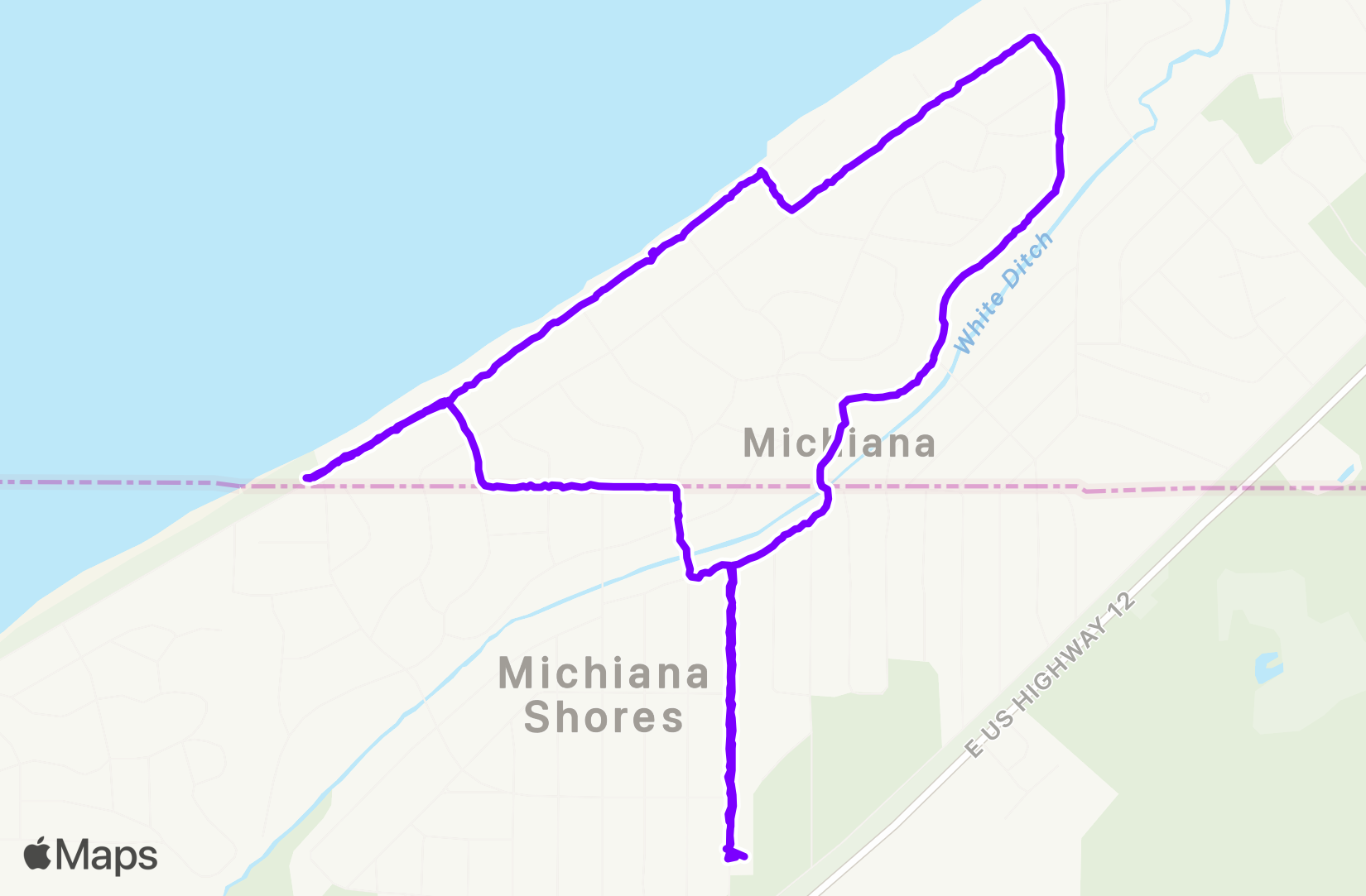 Walk training