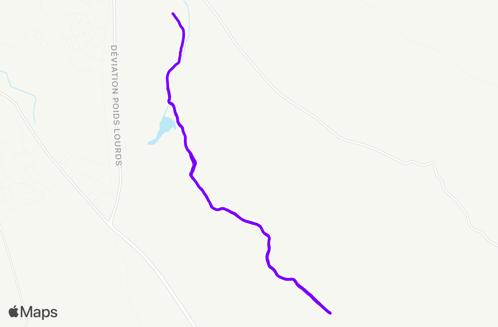 Run training