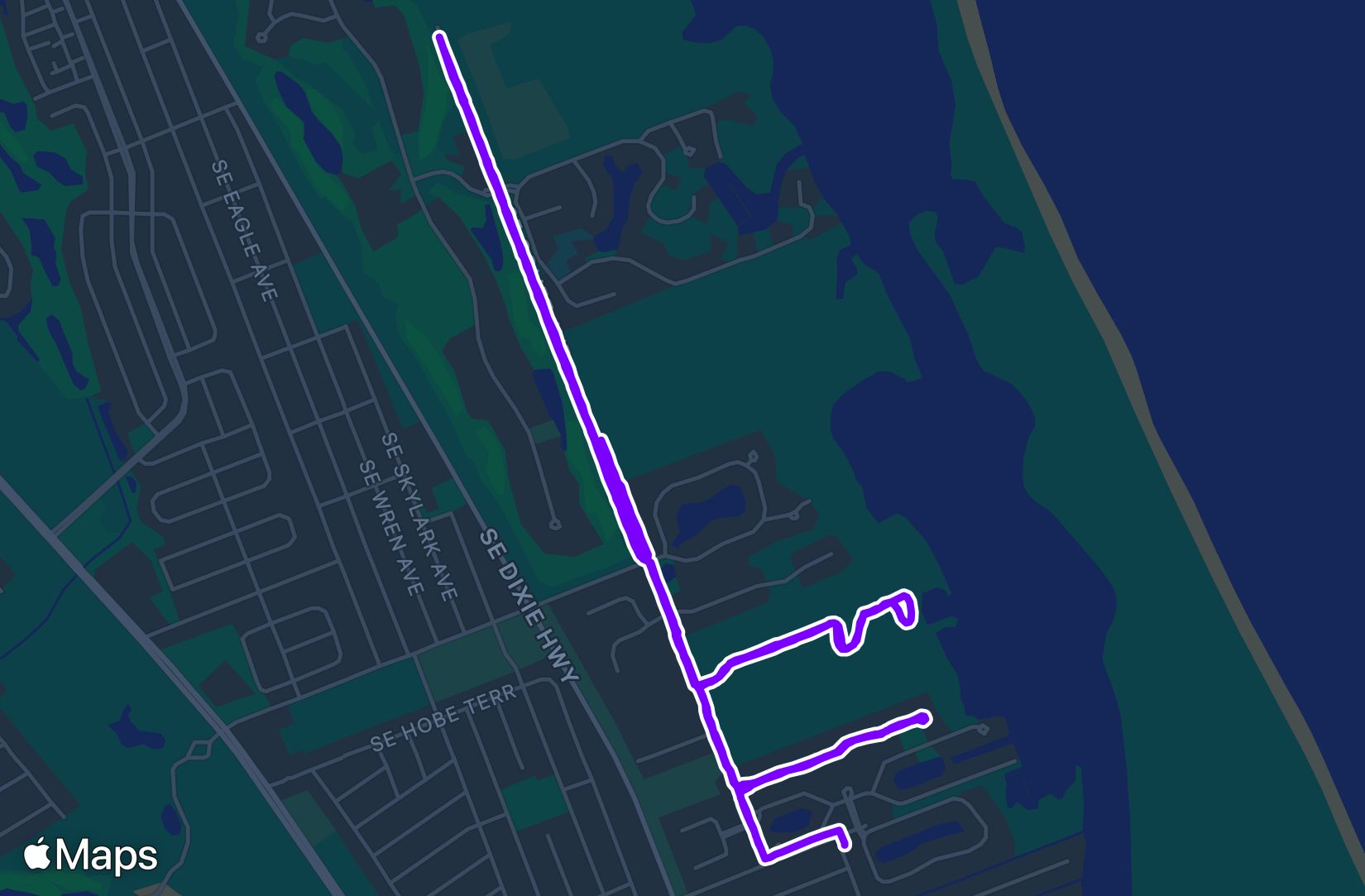 Run training