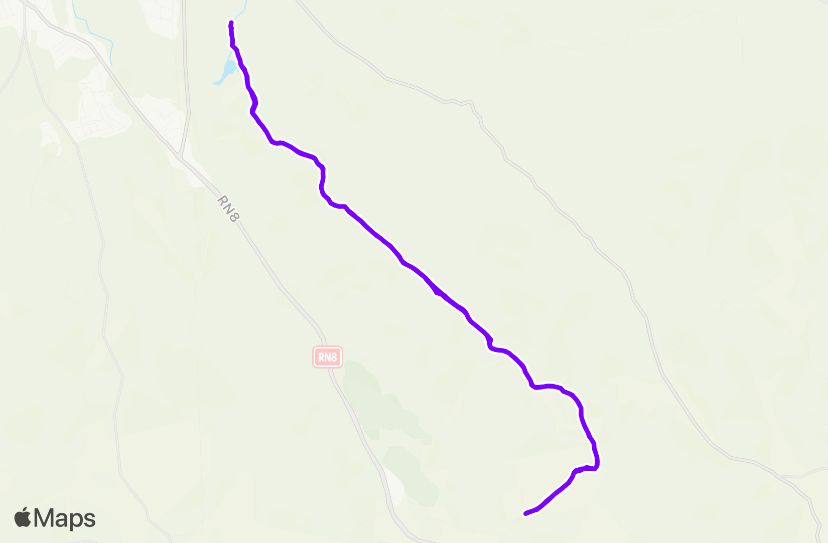 Run training
