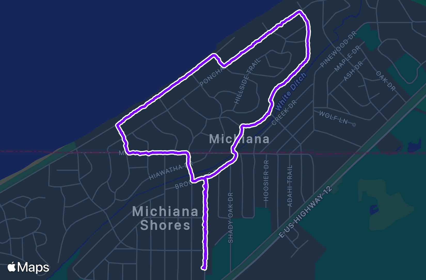 Walk training
