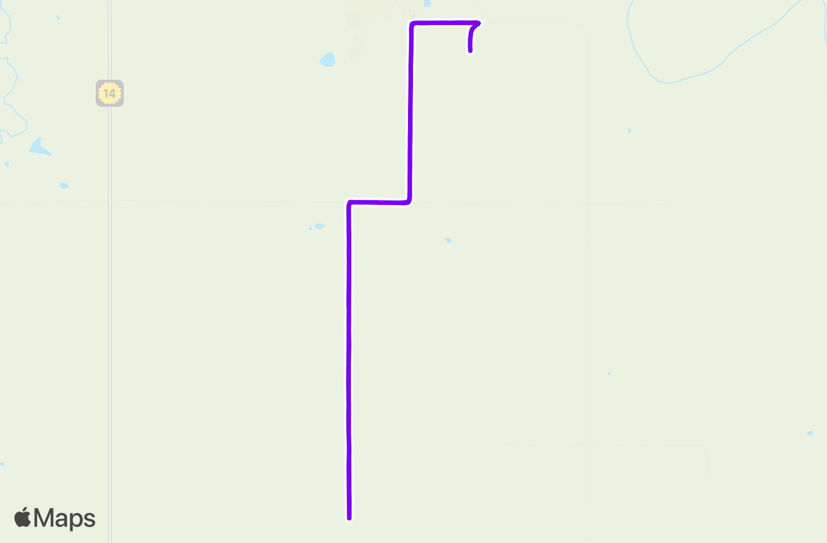 Run training
