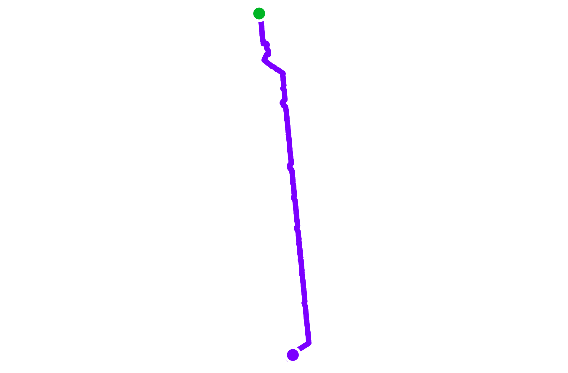 Walk training