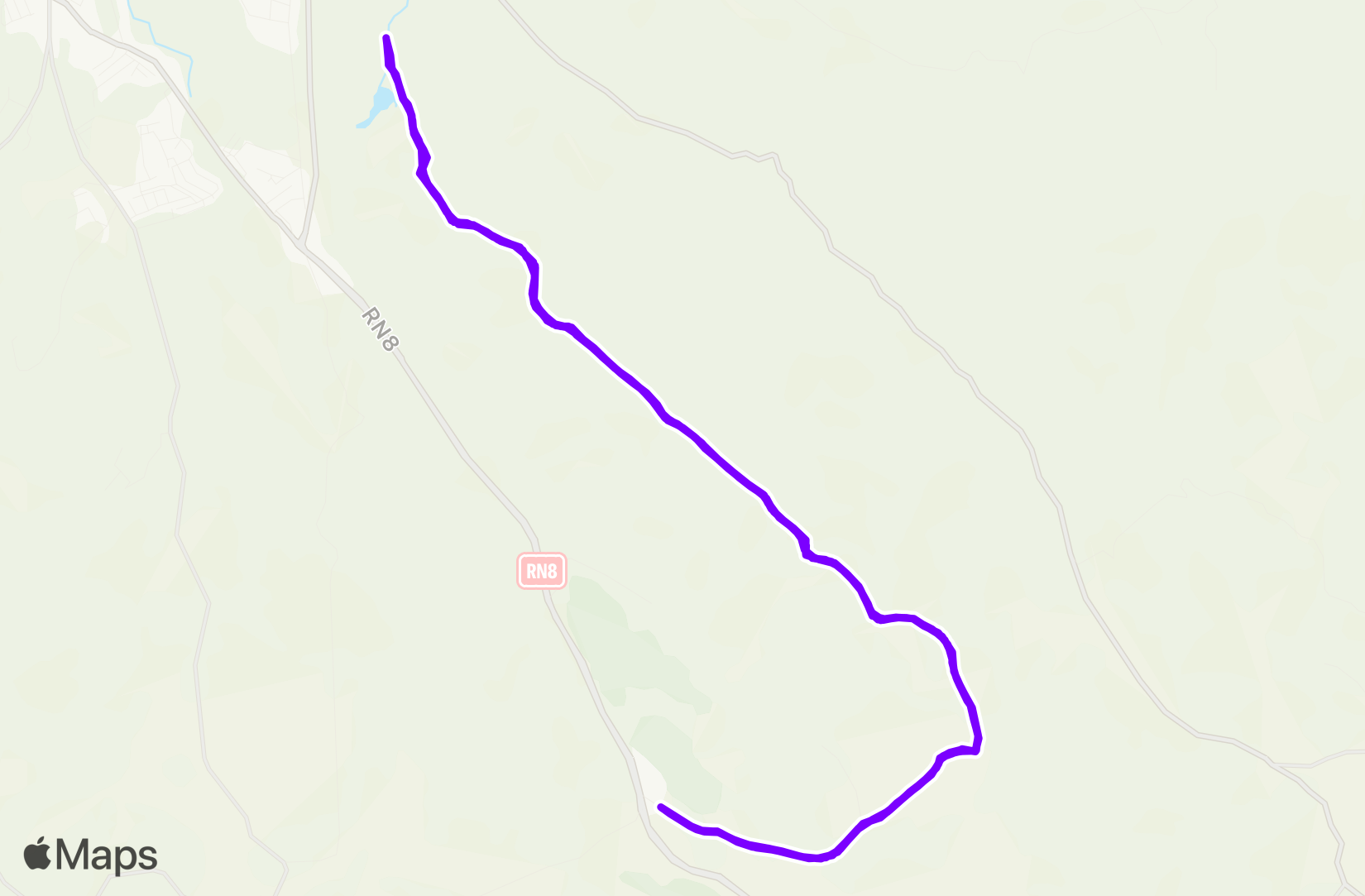 Run training