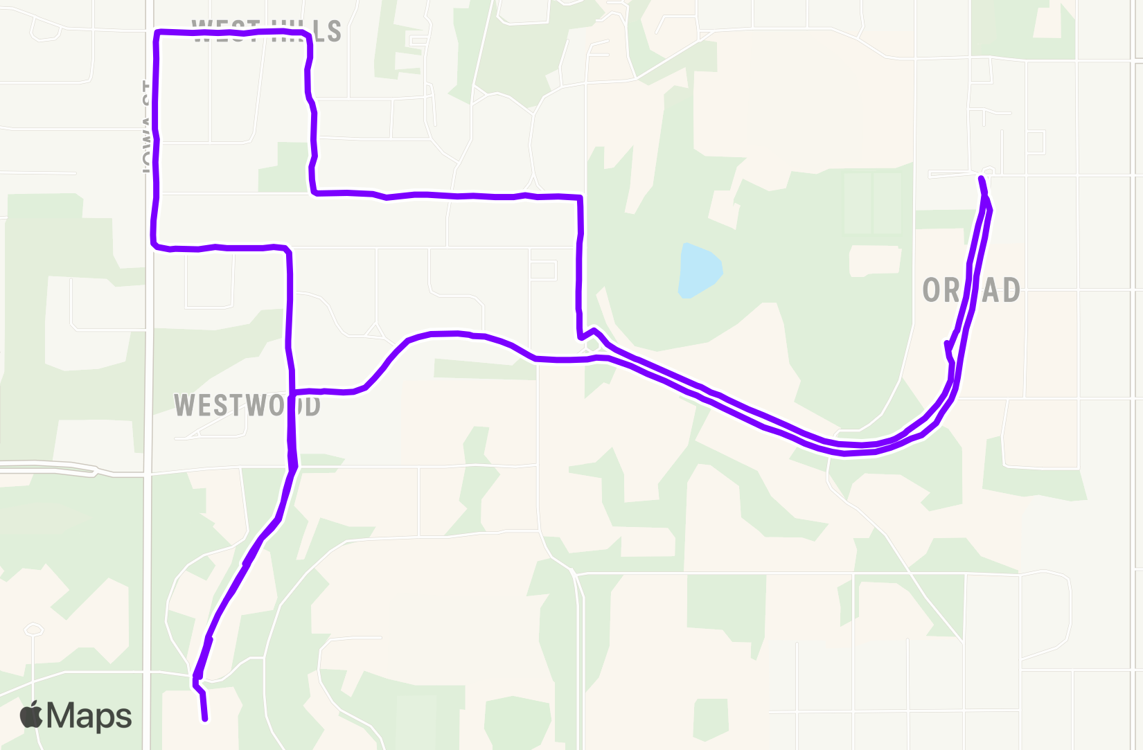 Run training