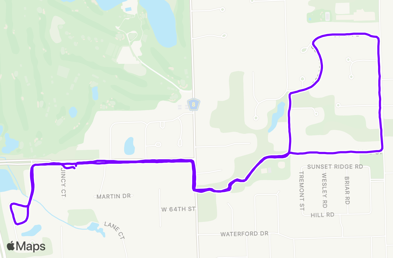 Run training