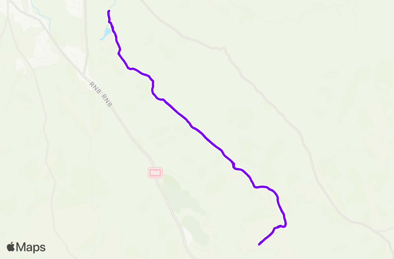 Run training