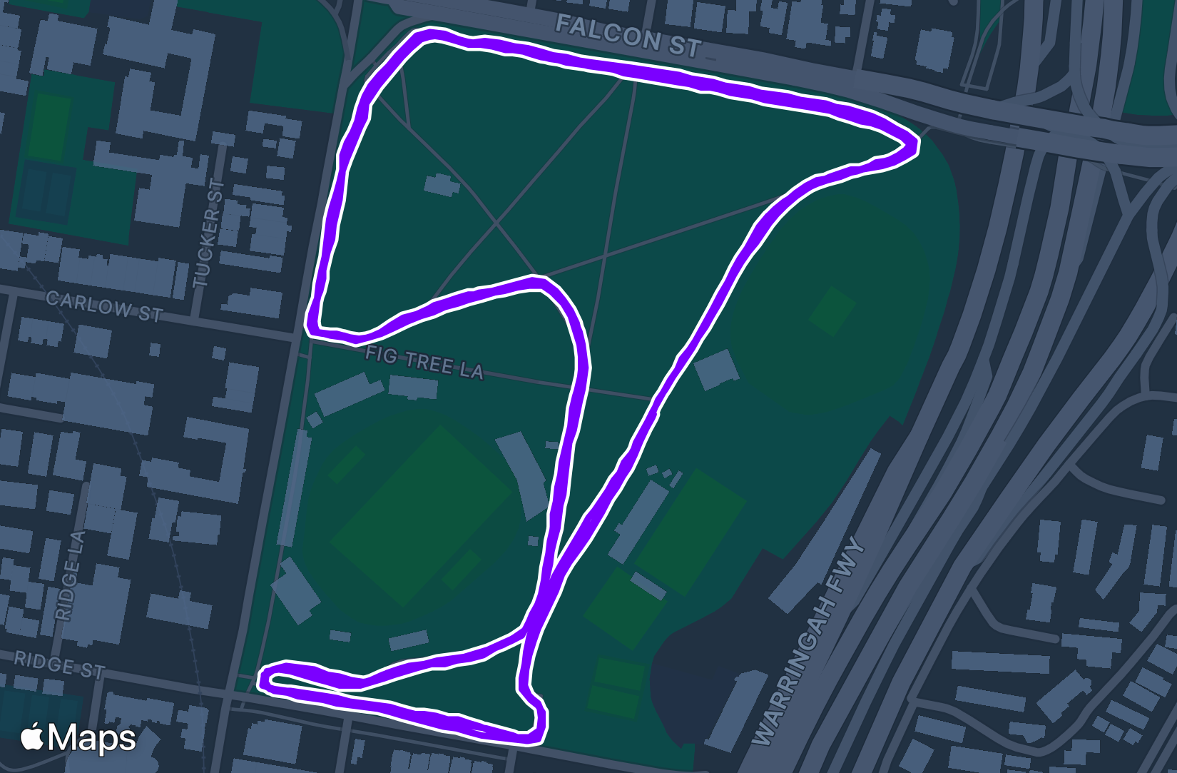 Run training