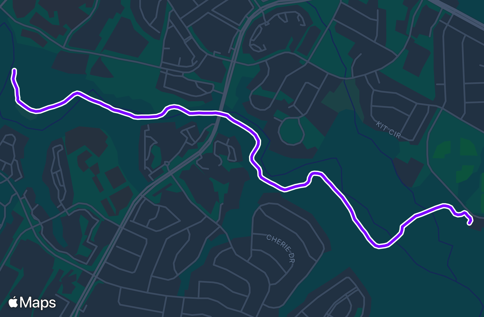 Walk training