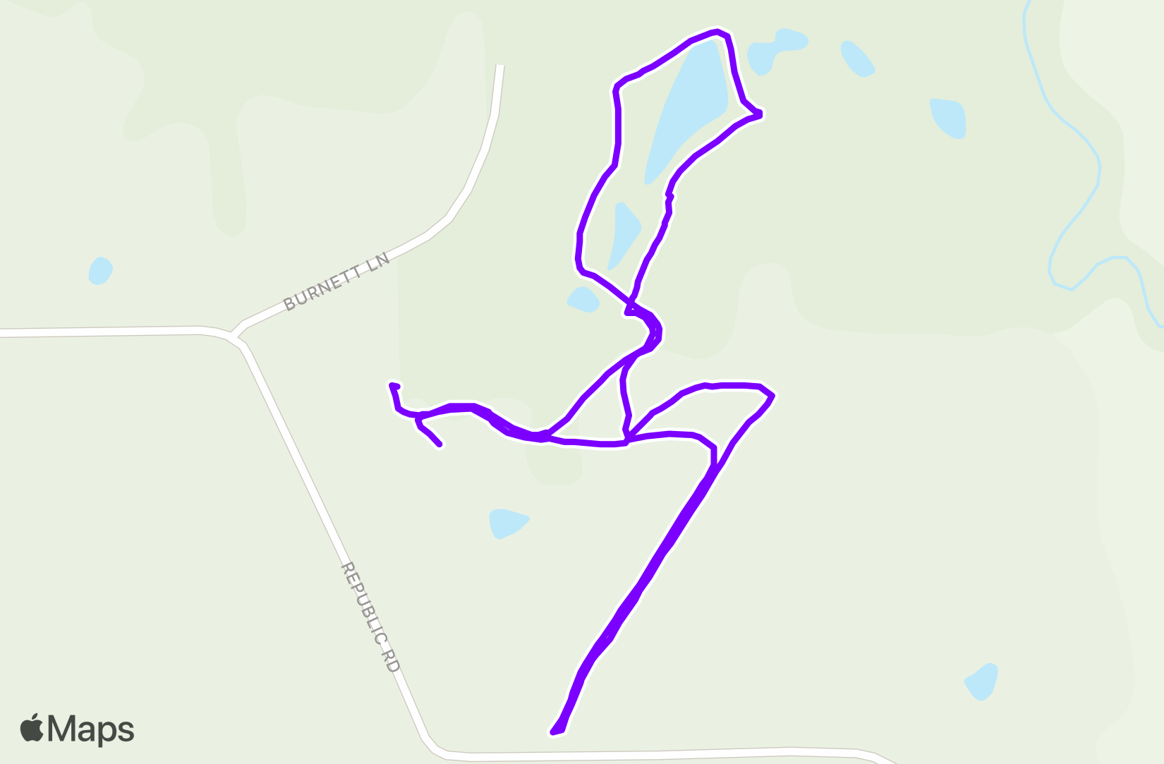 Run training