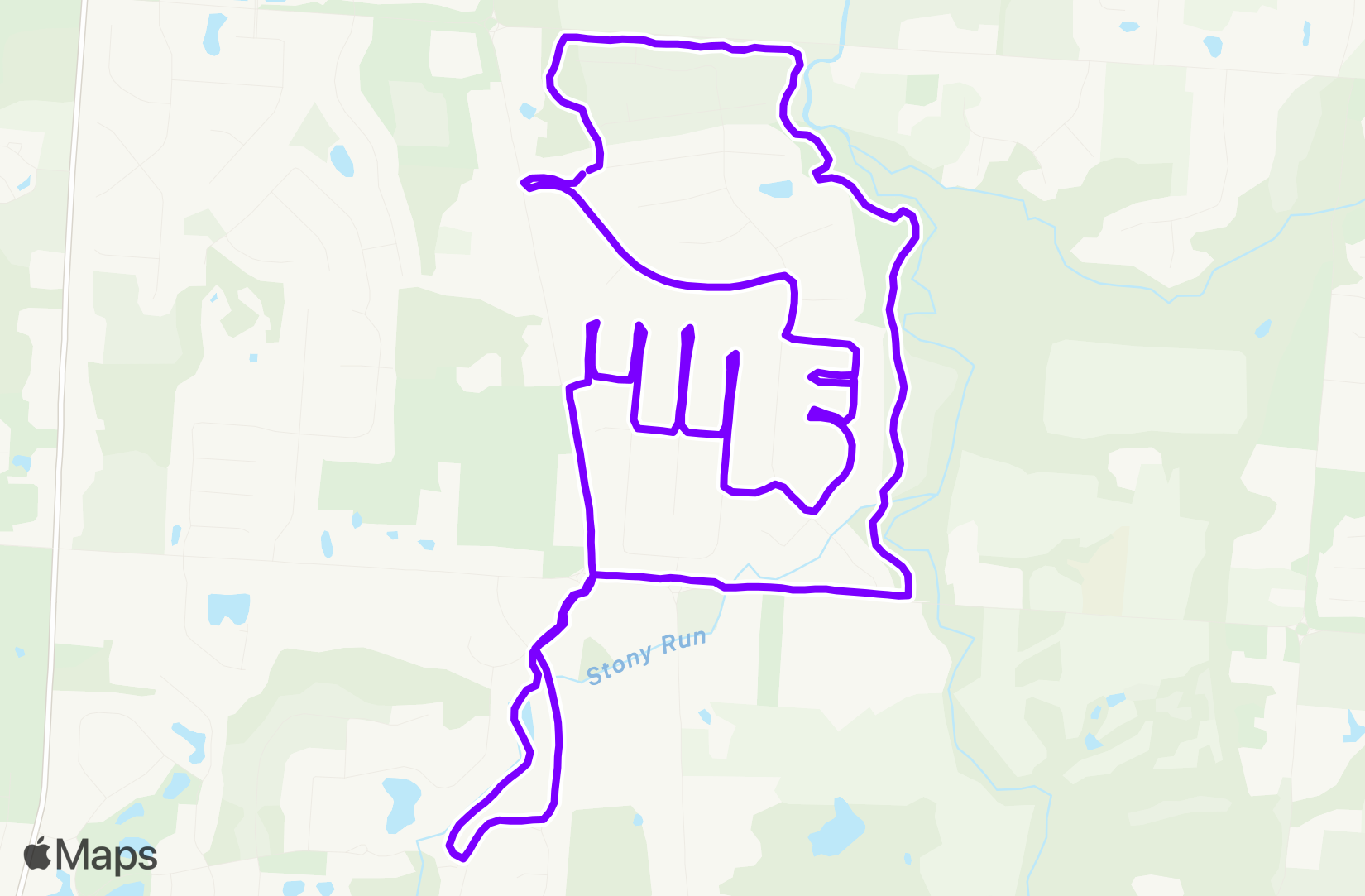 Run training
