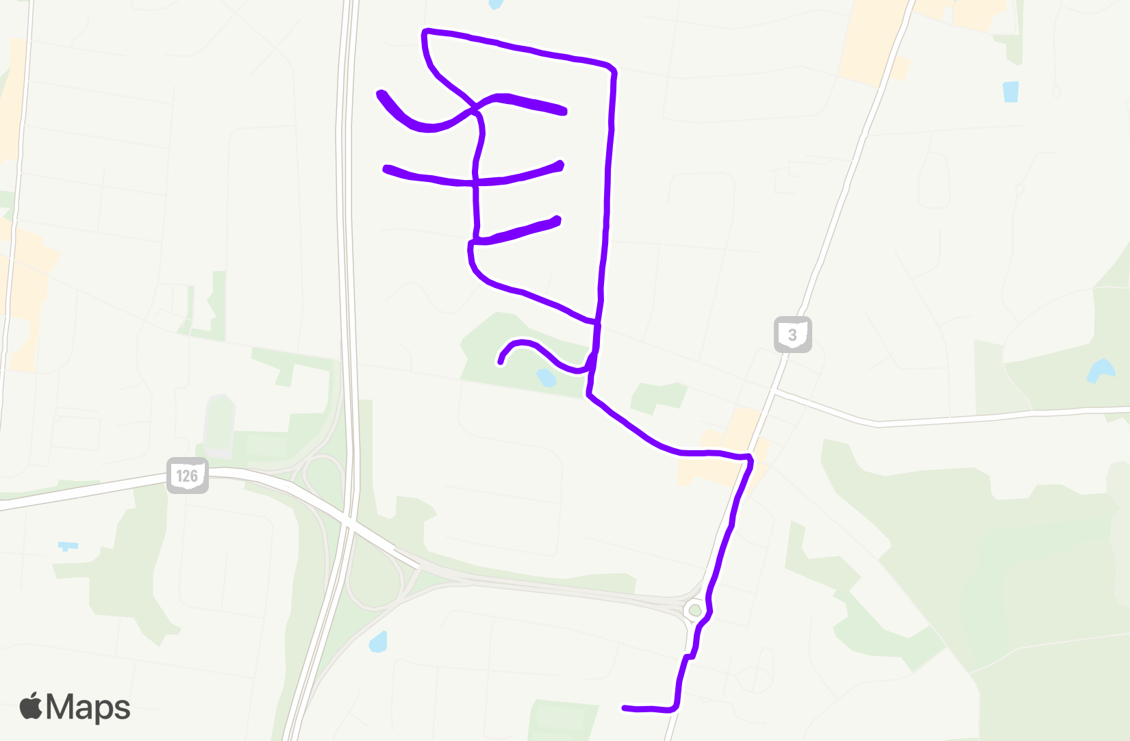 Run training