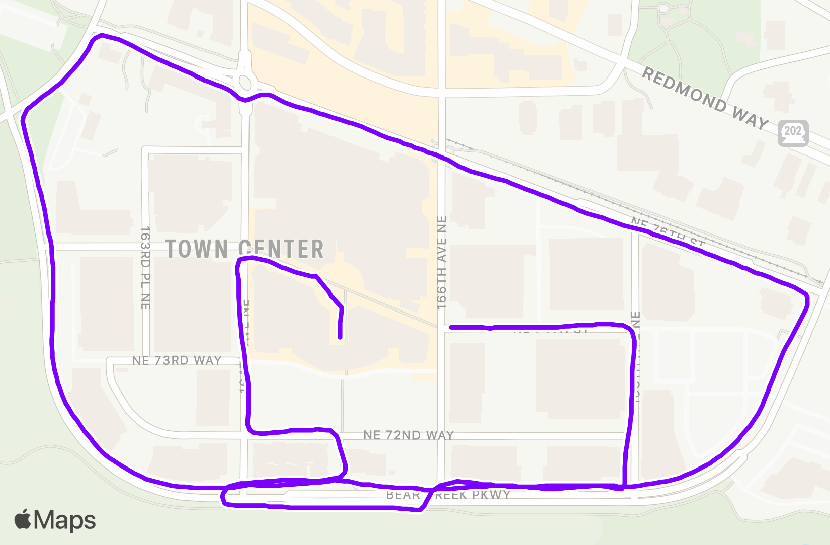 Run training