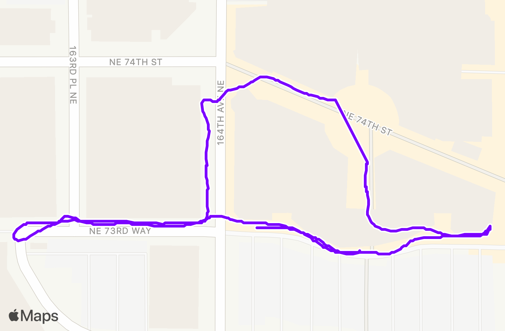 Run training