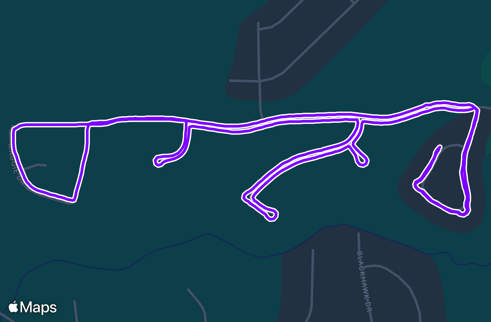 Run training