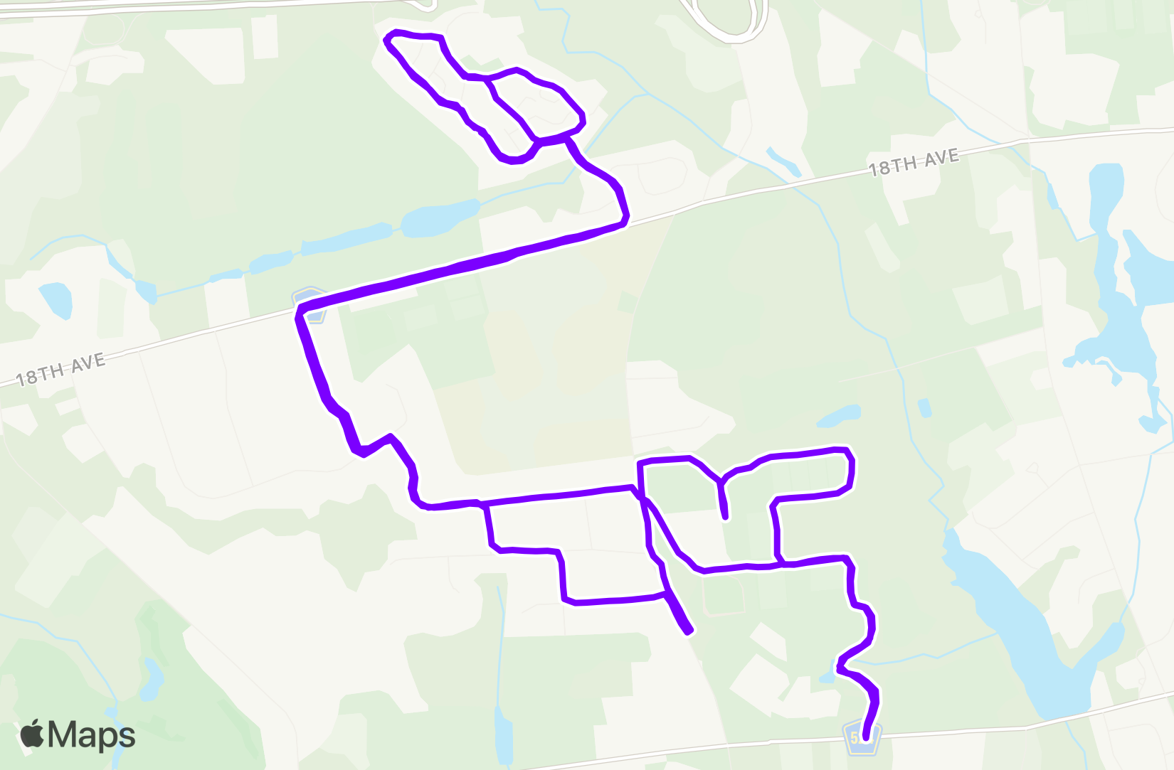 Run training