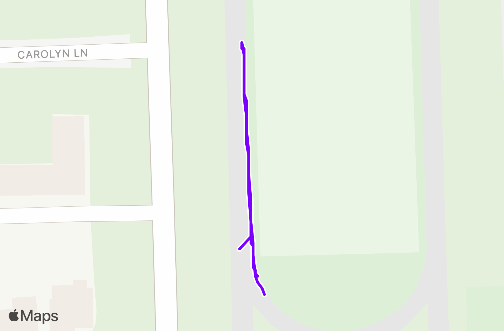 Run training