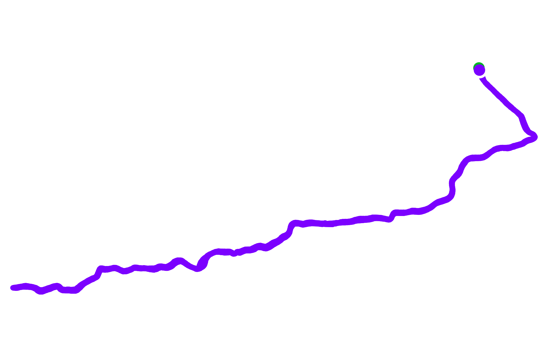 Run training