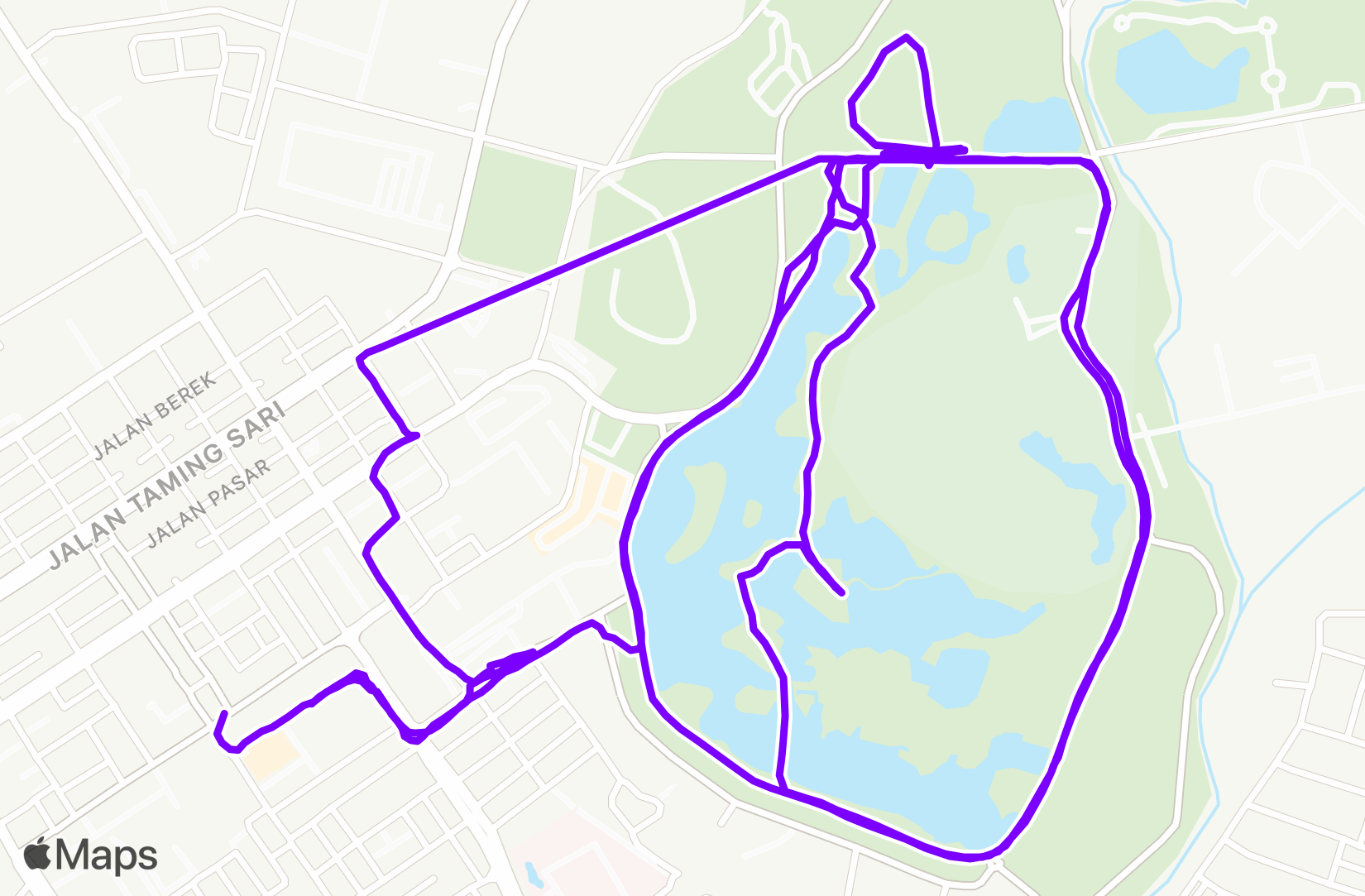 Run training