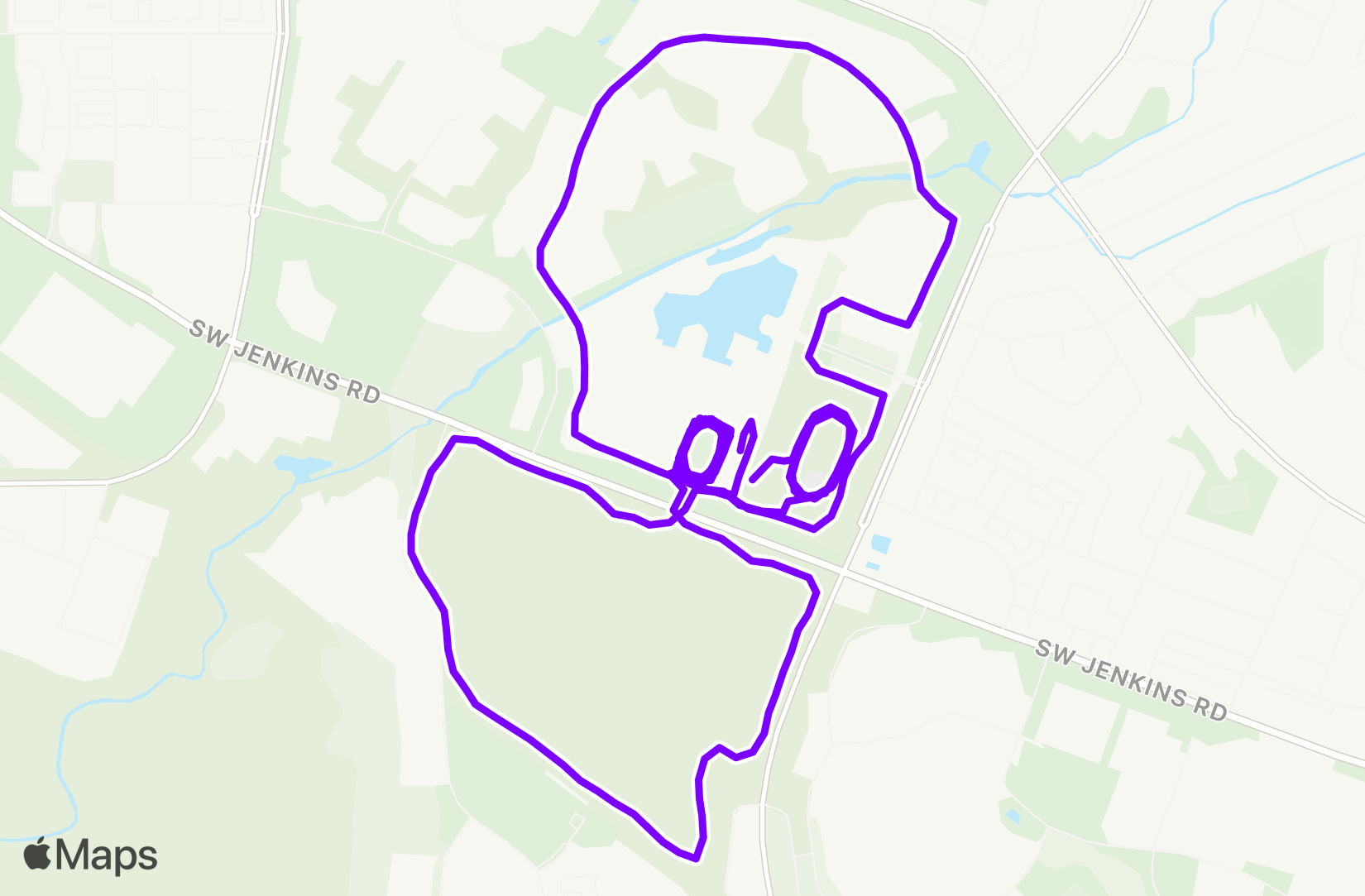 Run training