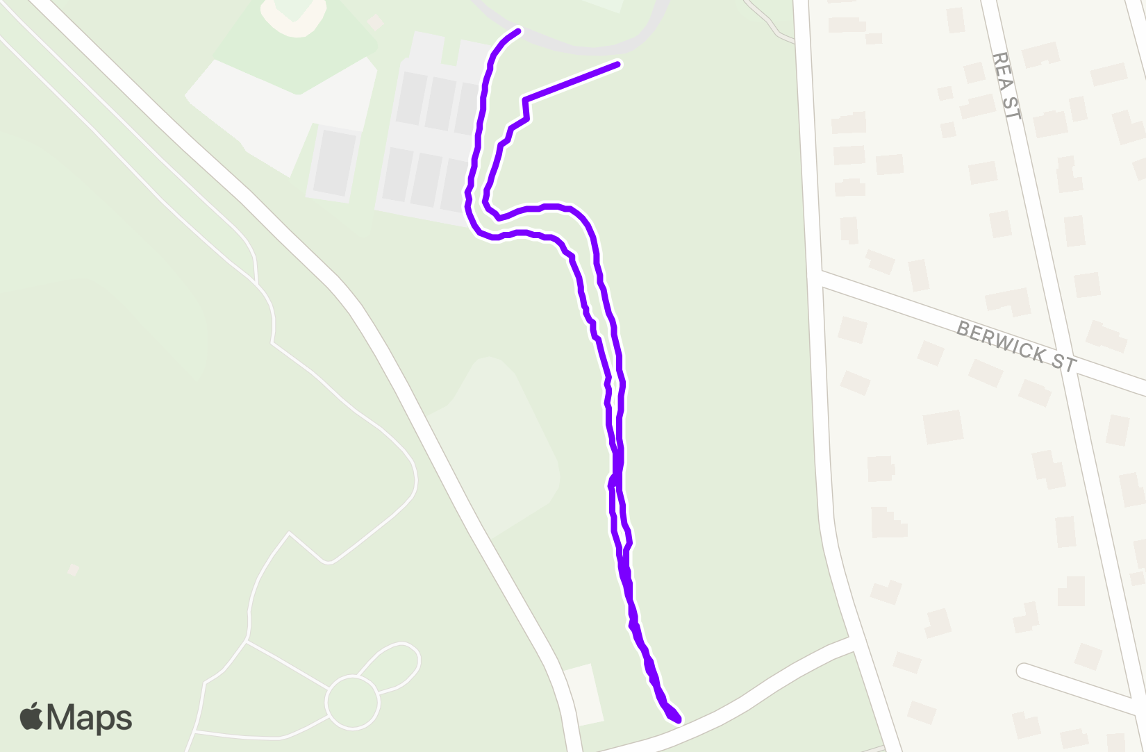 Run training