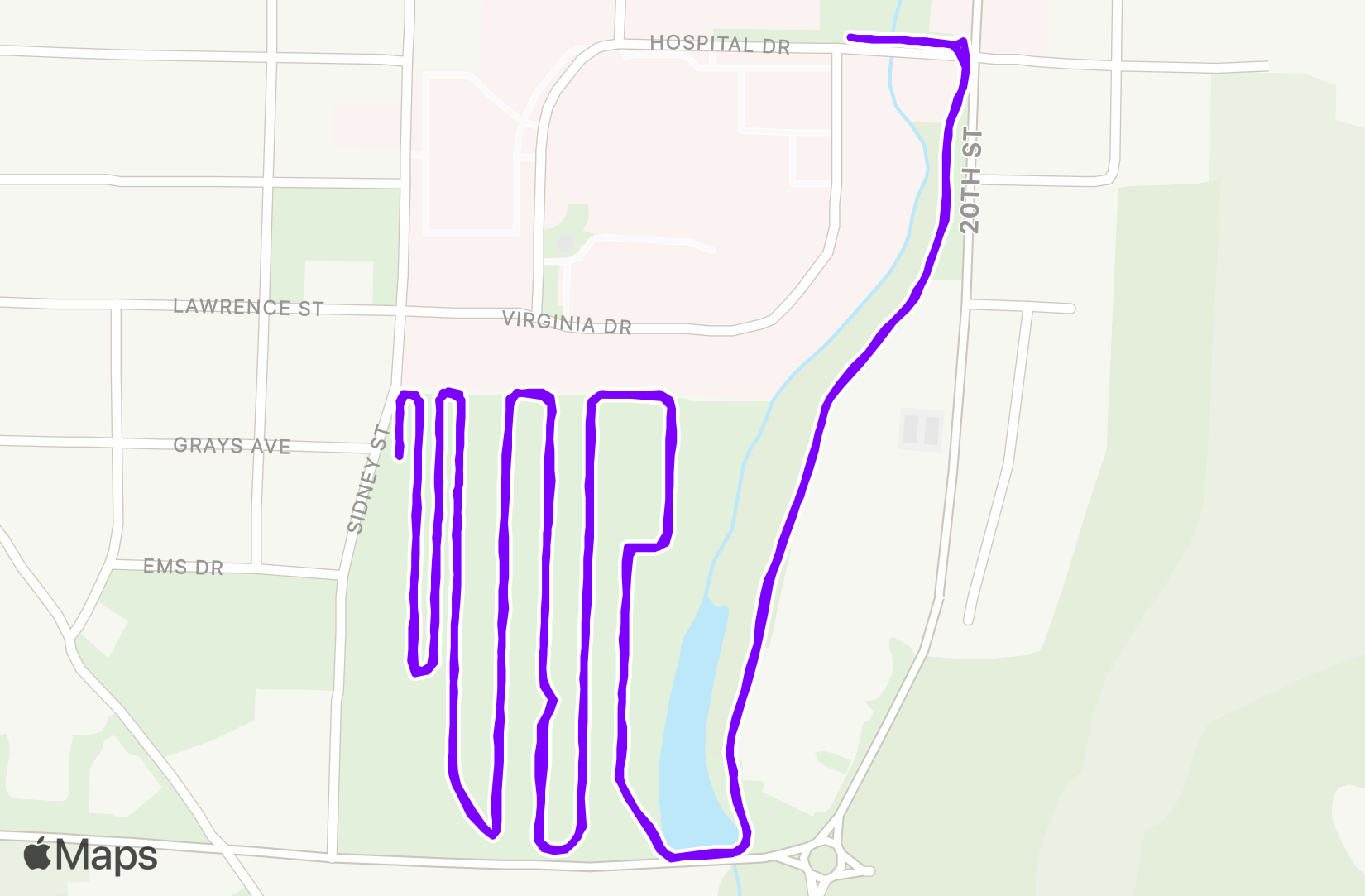 Run training