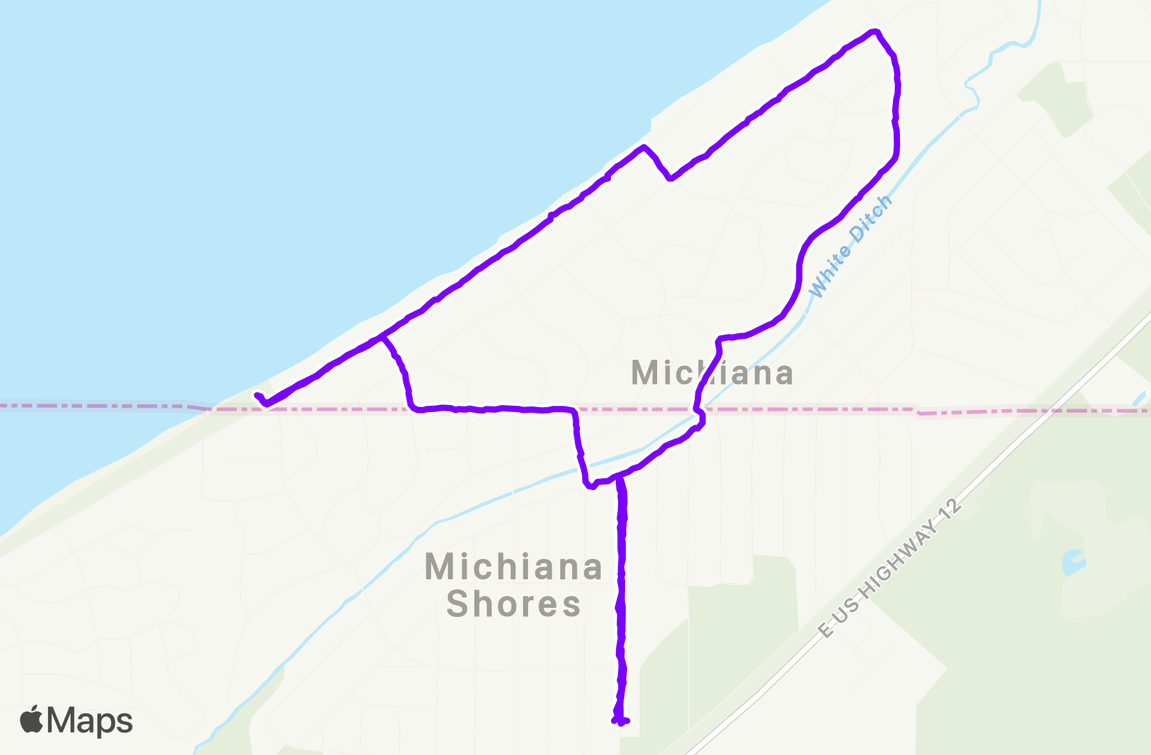 Walk training