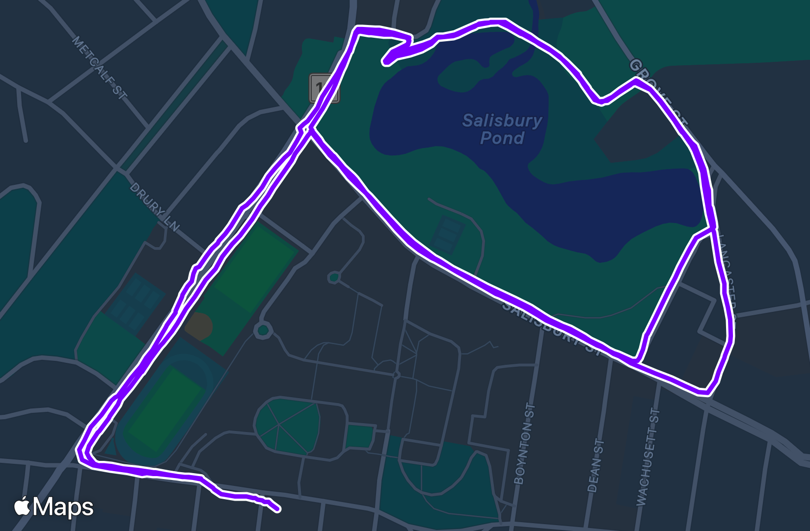 Run training