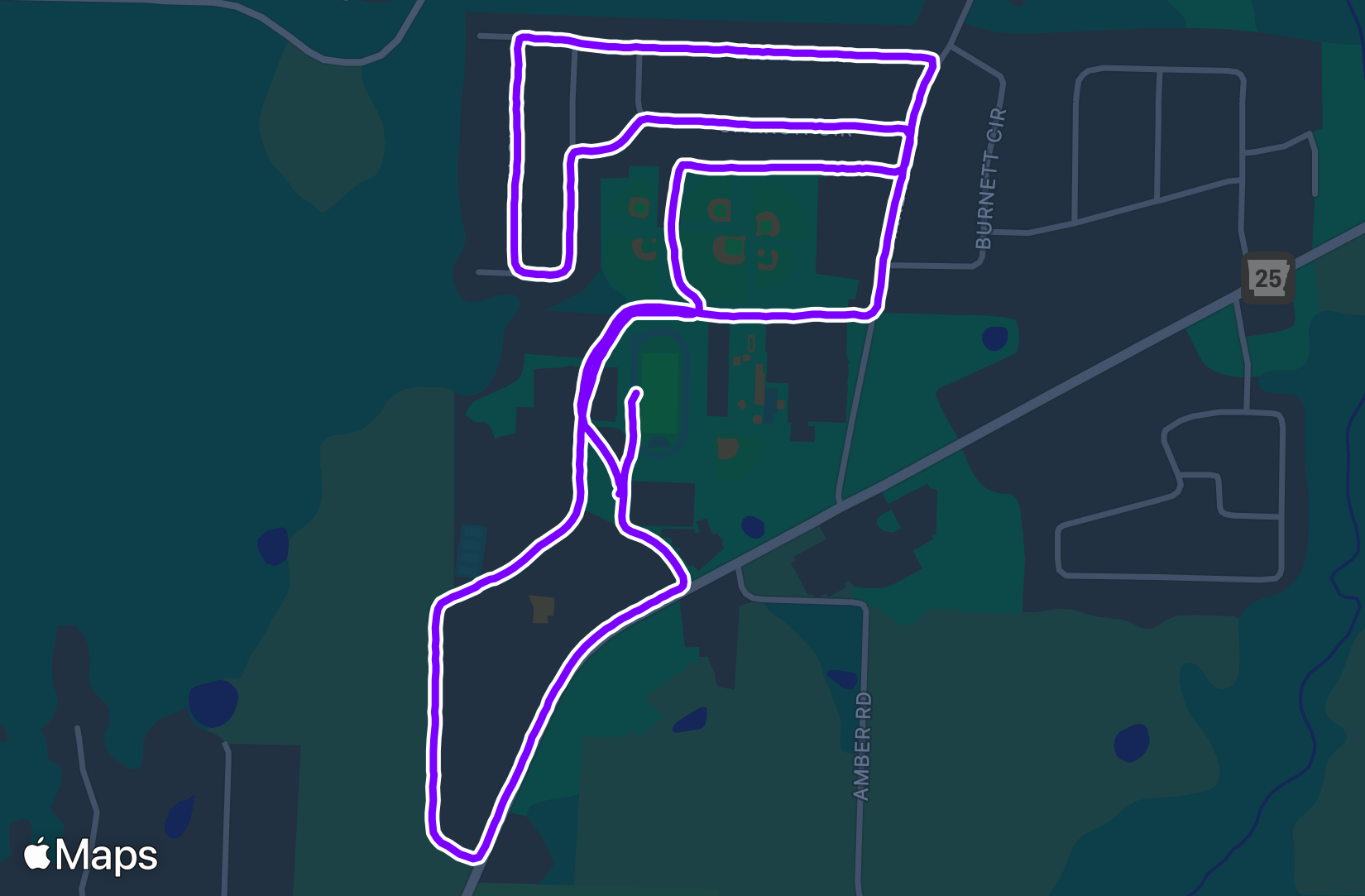 Run training