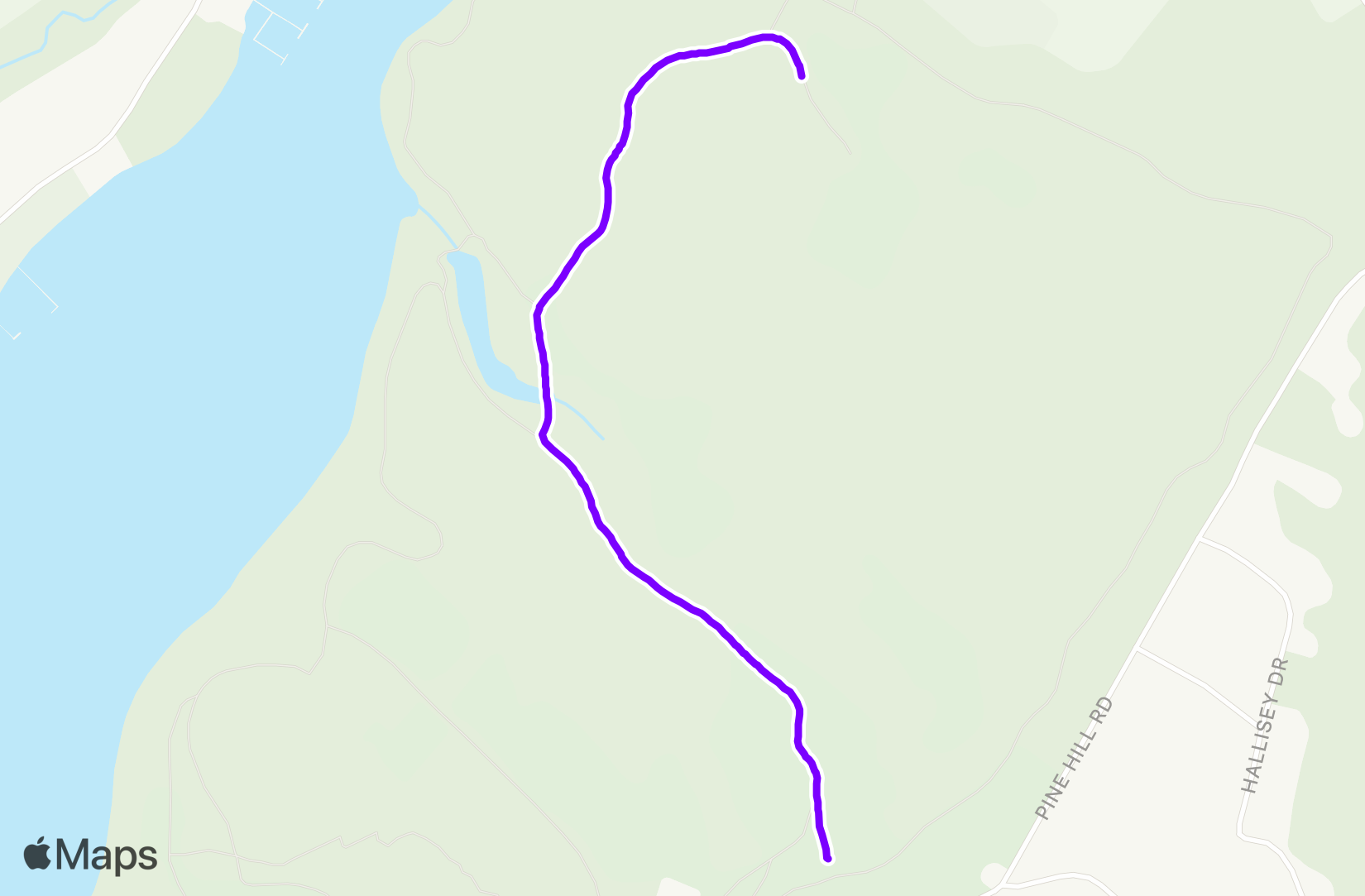 Run training