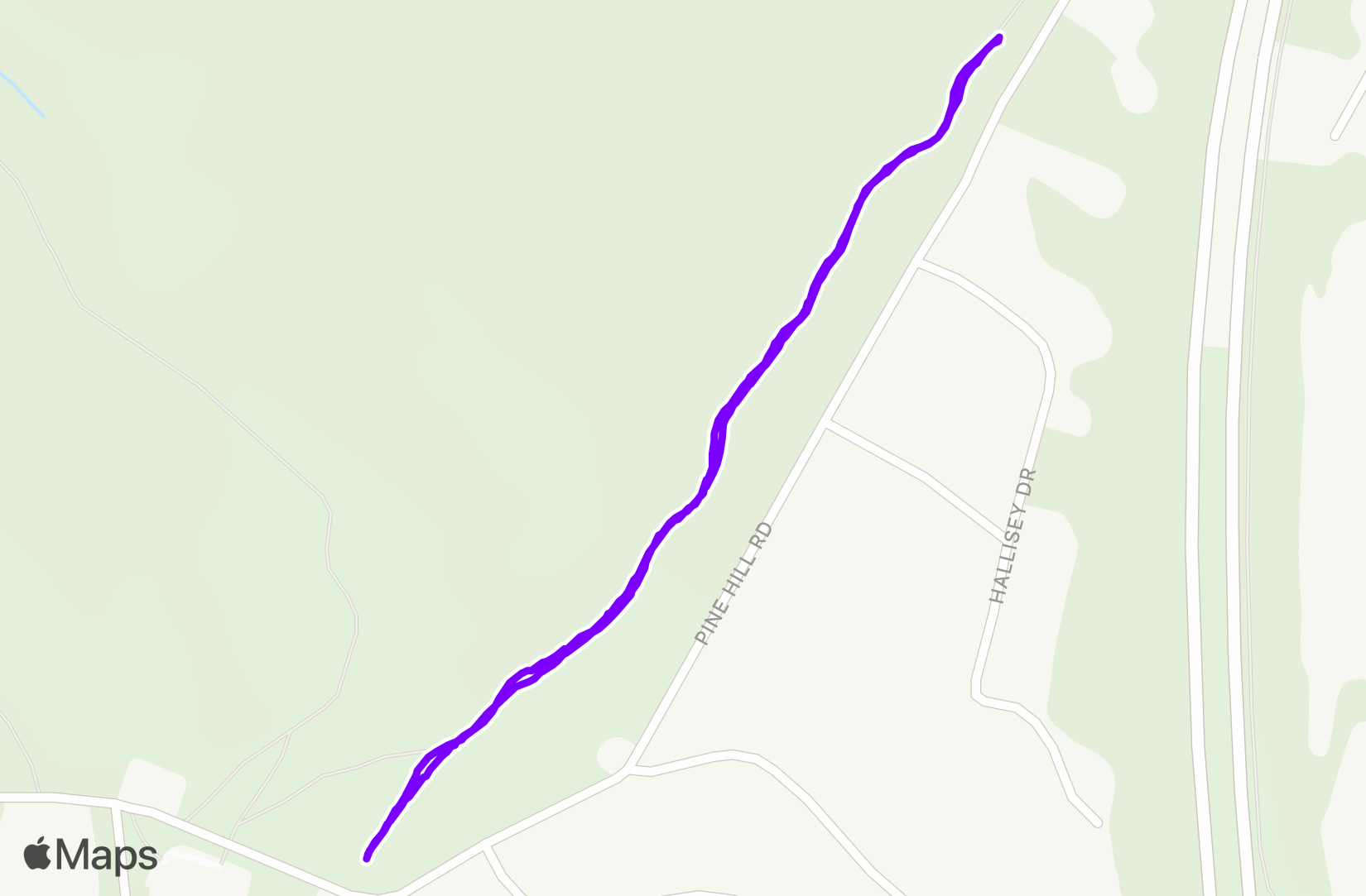 Run training