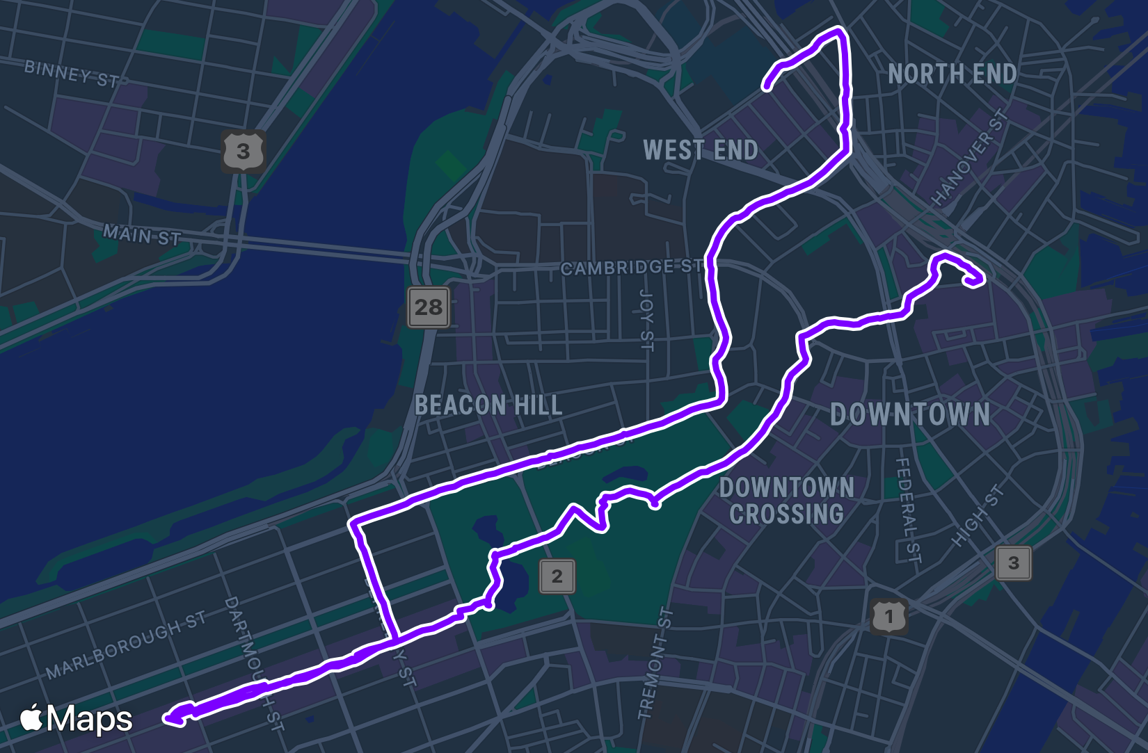 Walk training