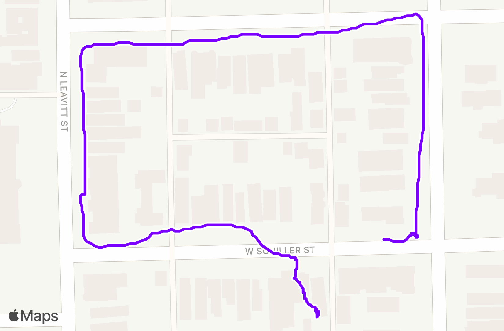 Walk training