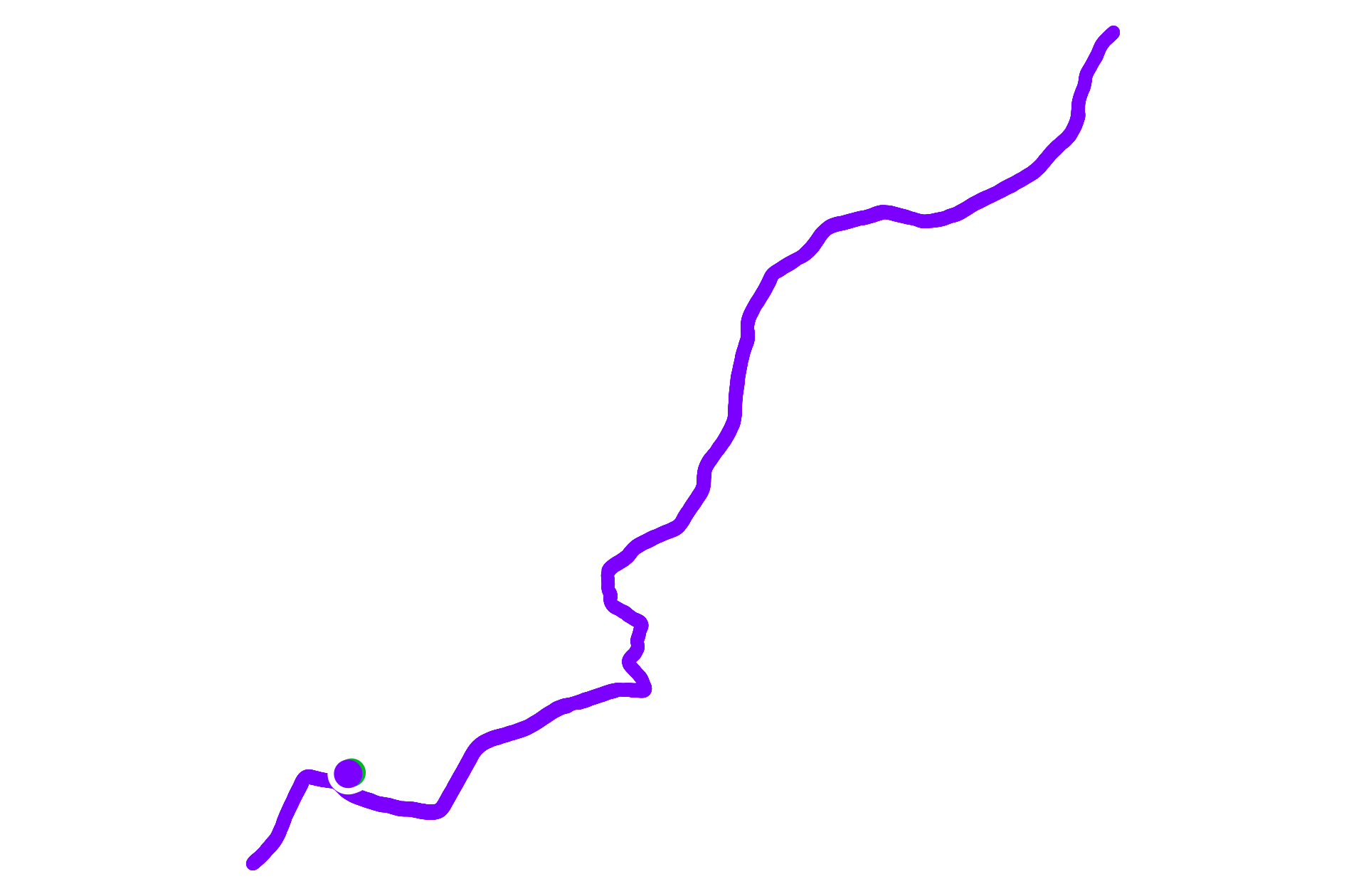 Run training