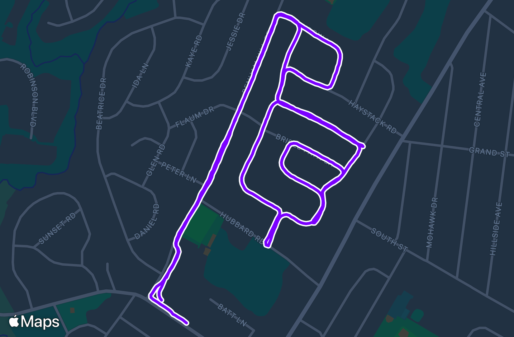 Run training