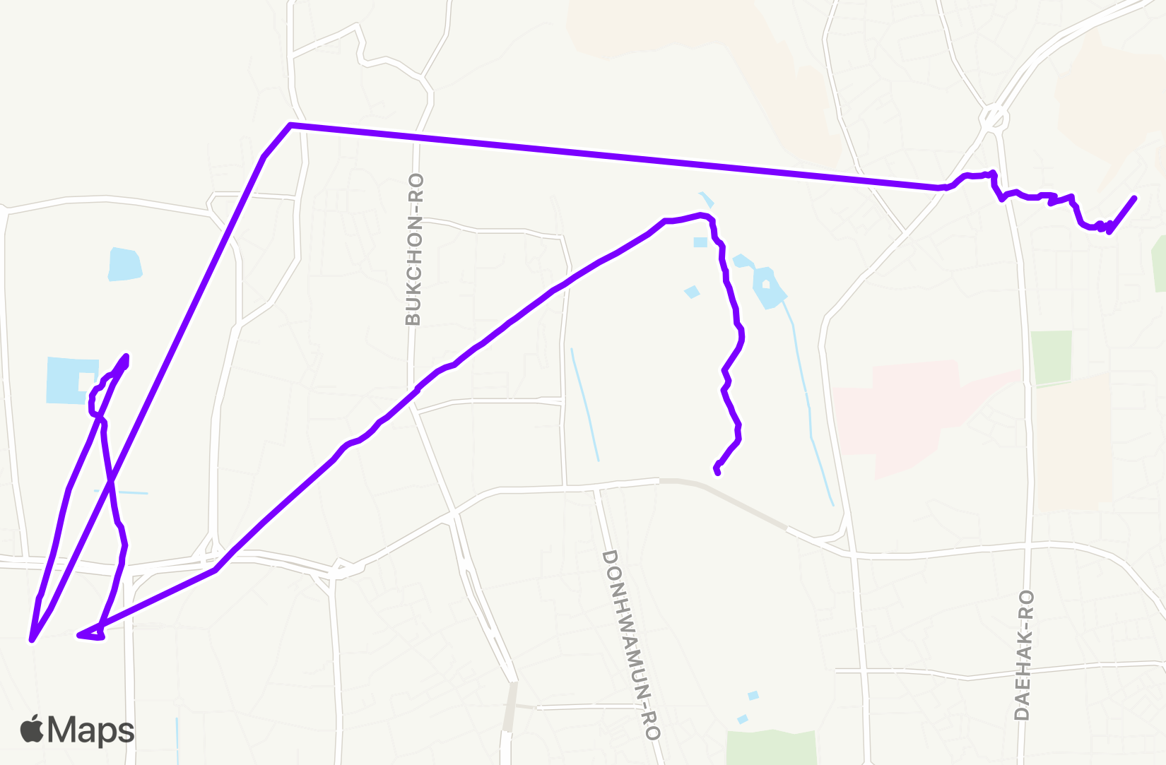 Walk training