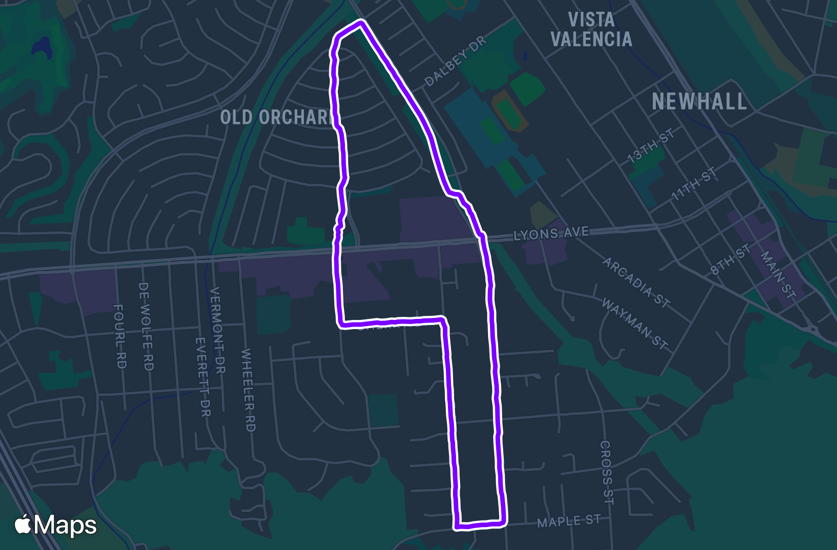 Run training