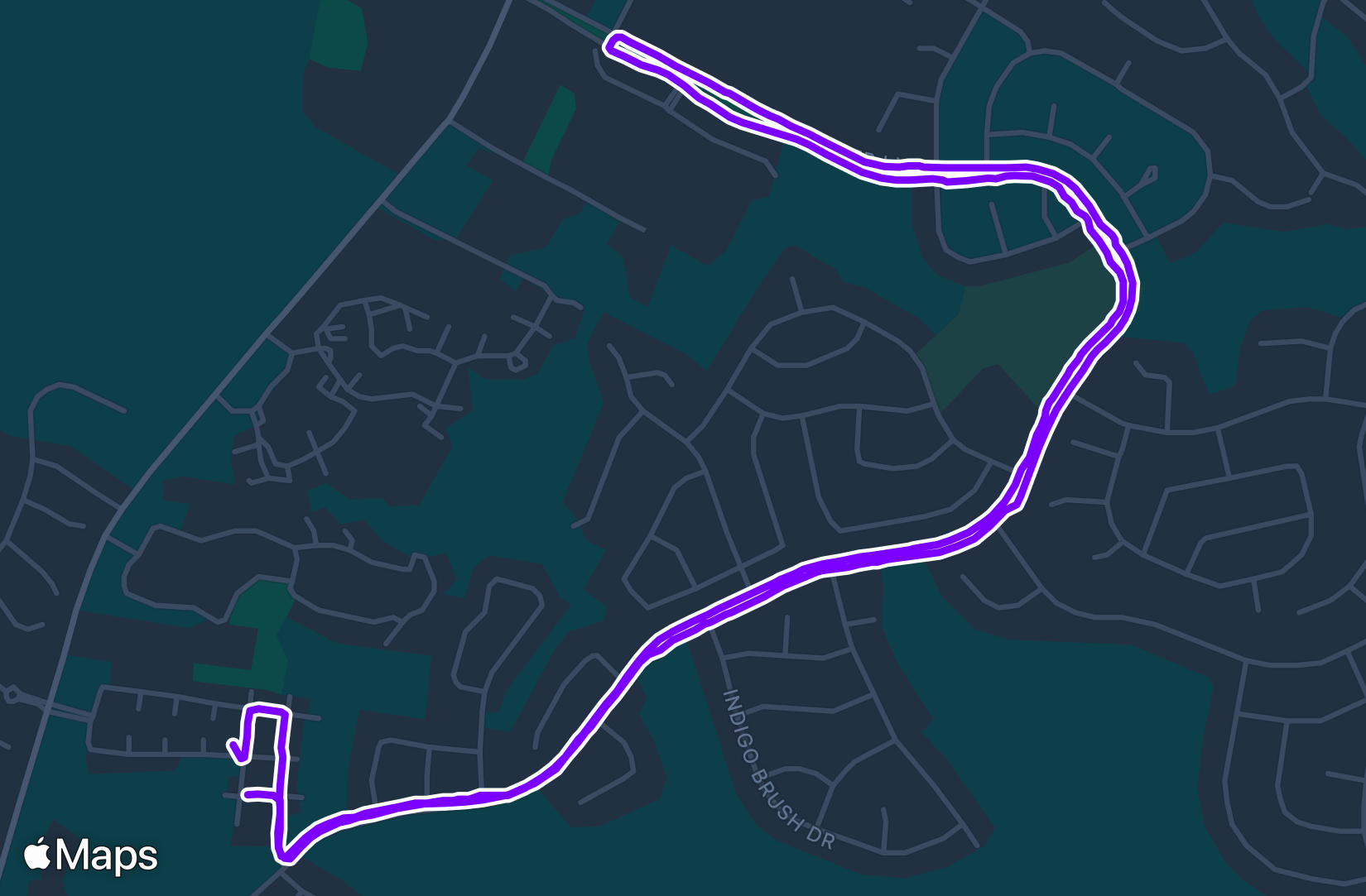 Run training