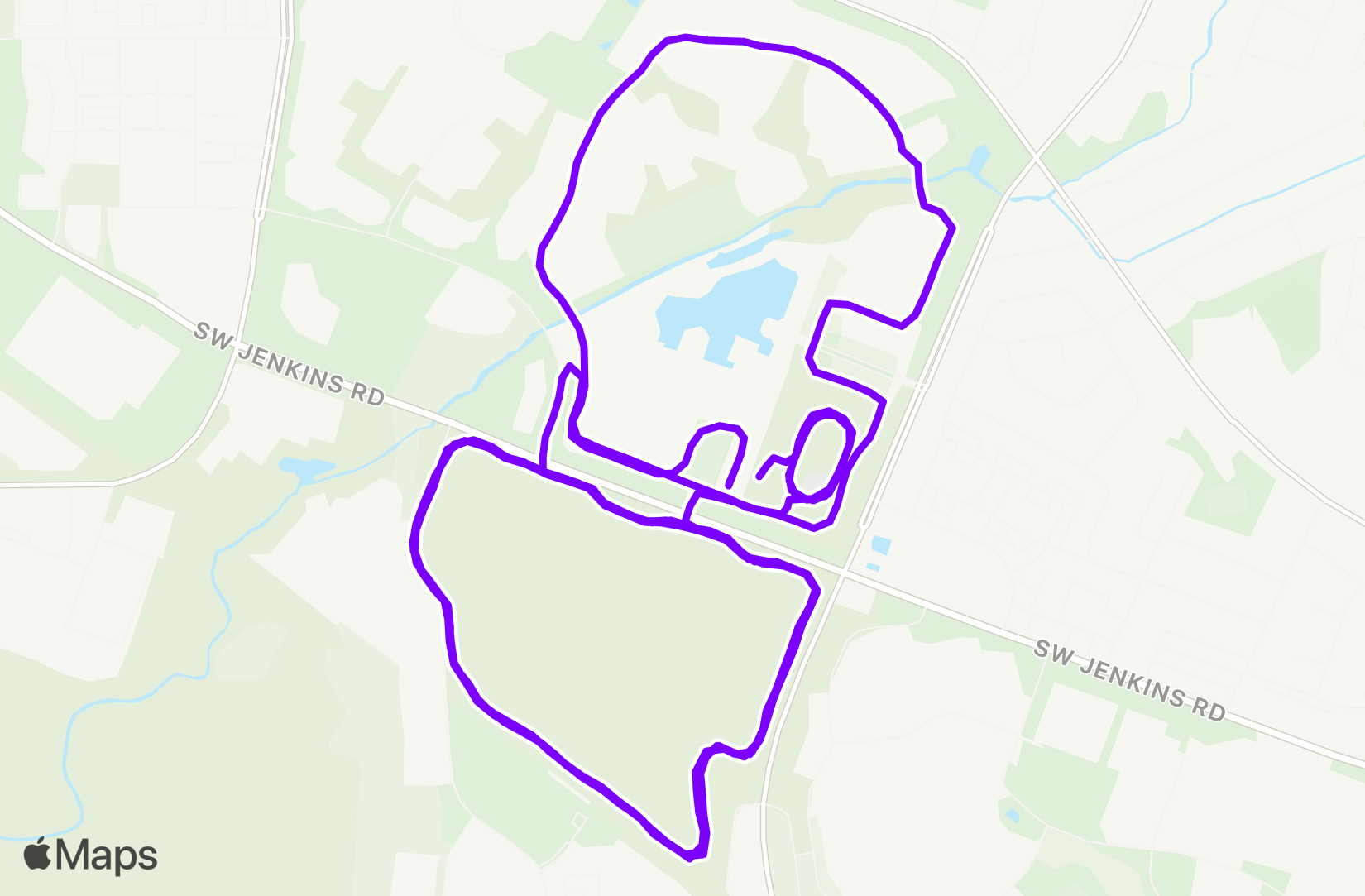 Run training