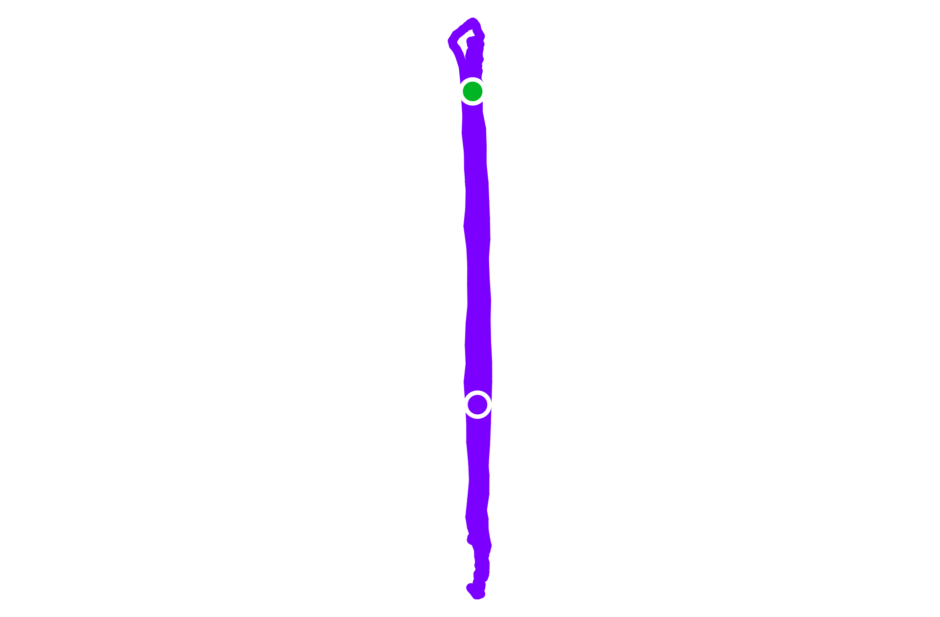 Run training