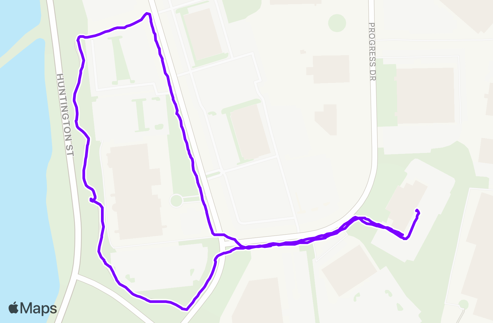 Walk training