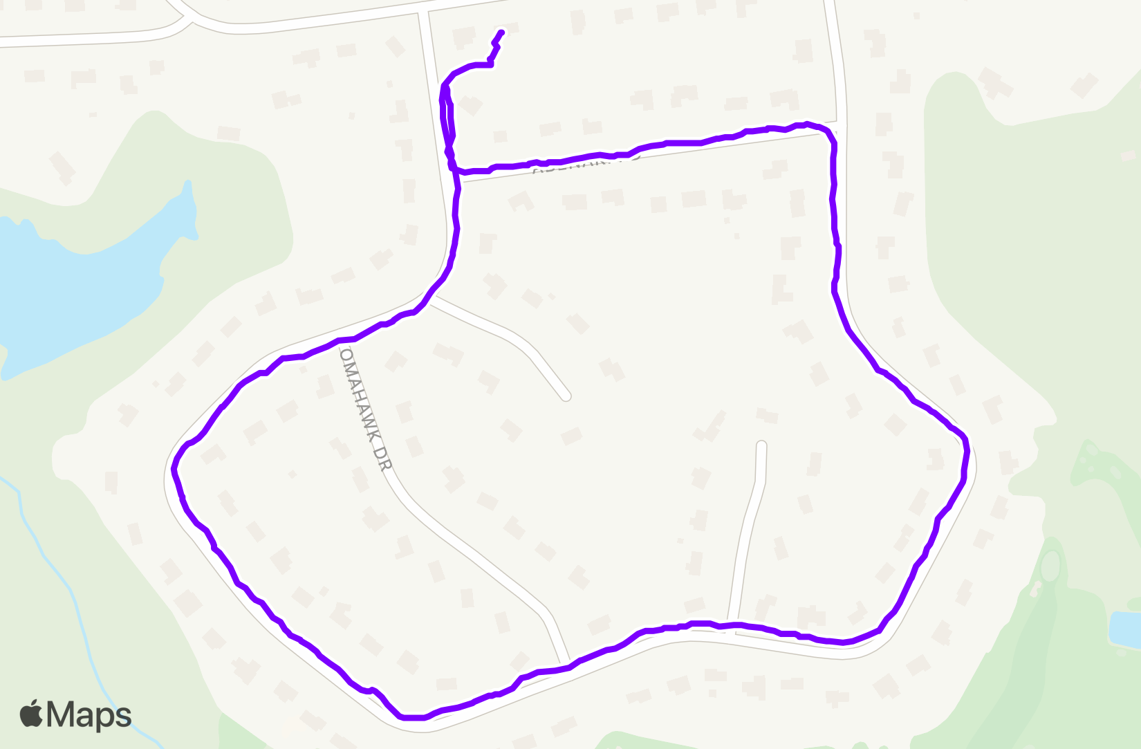 Walk training