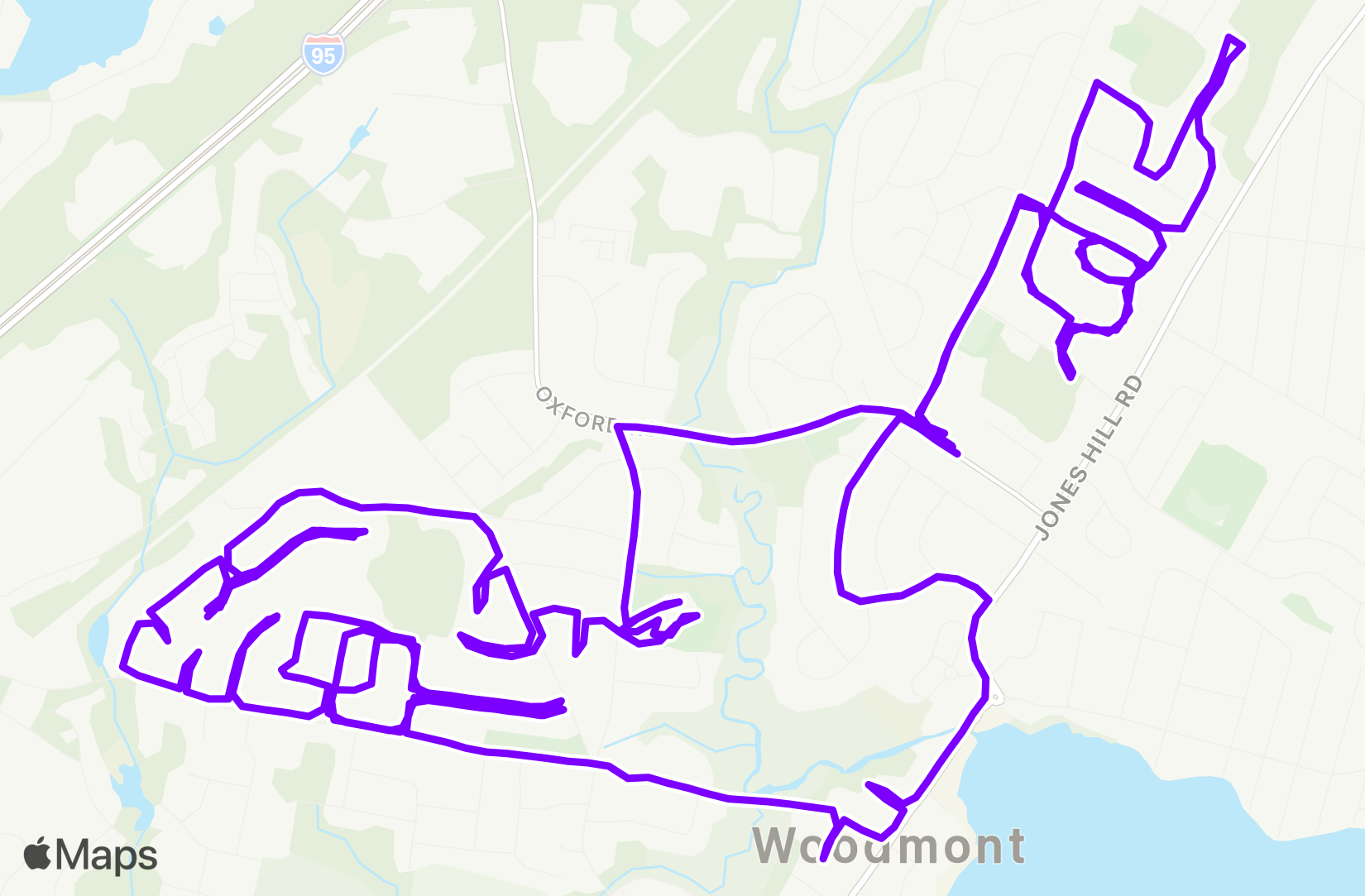 Run training