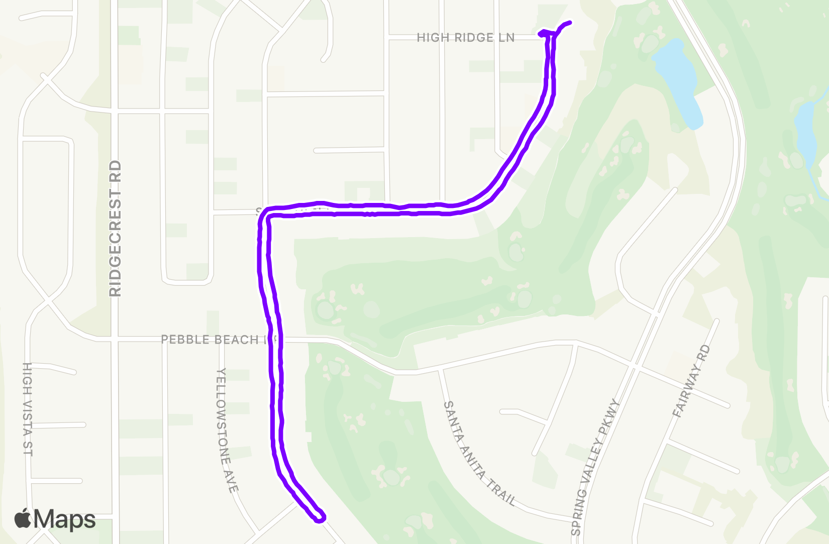 Walk training