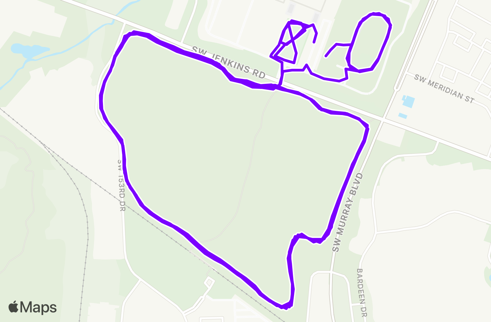 Run training