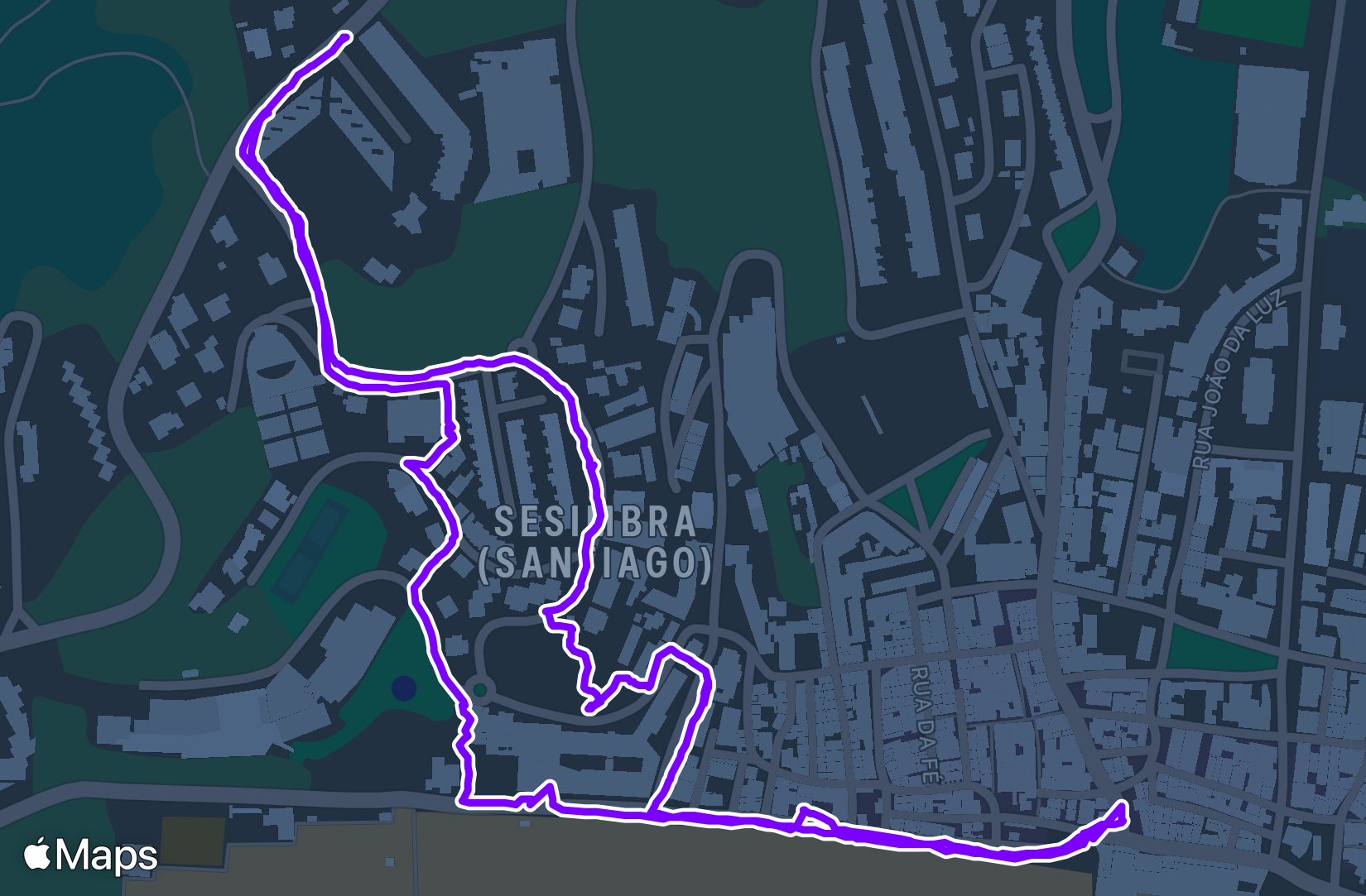 Walk training